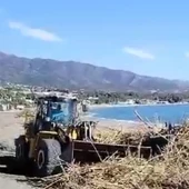 Tractor recogiendo cañas de una playa en Marbella Tractor recogiendo cañas de una playa en Marbella