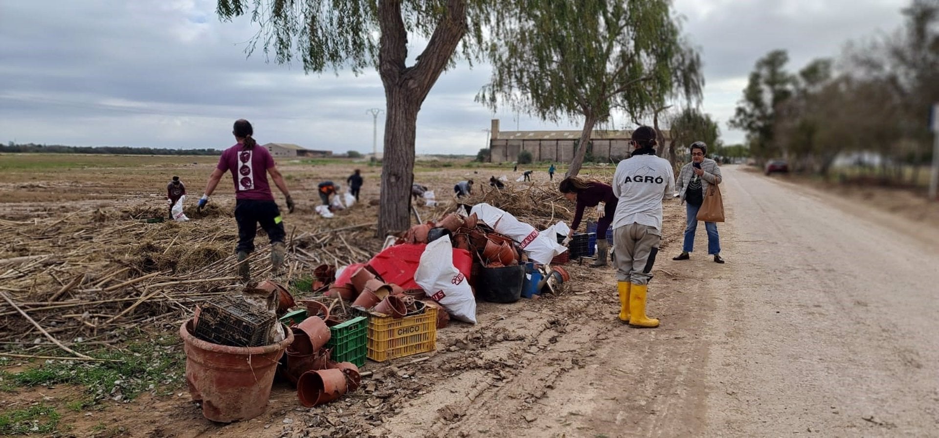 Voluntarios retiran miles de residuos del Tancat del Bony y el Puerto de Catarroja en l'Albufera Voluntarios retiran miles de residuos del Tancat del Bony y el Puerto de Catarroja en l'Albufera