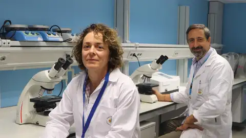 María Ángeles Esparza y José Miguel Soria, investigadores del CEU de Elche que han participado en el estudio. María Ángeles Esparza y José Miguel Soria, investigadores del CEU de Elche que han participado en el estudio.