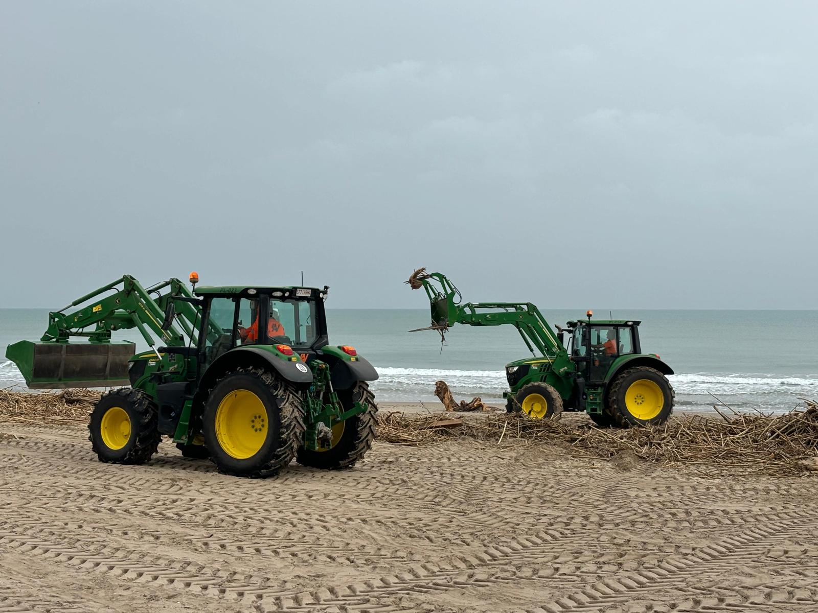 Las playas de València, con cañas y residuos un mes después de la DANA Las playas de València, con cañas y residuos un mes después de la DANA