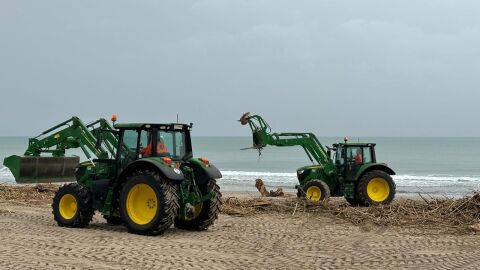 Tractores trabajan en la retirada de ca&ntilde;as y residuos en la Playa de El Perellonet