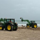 Tractores trabajan en la retirada de cañas y residuos en la Playa de El Perellonet