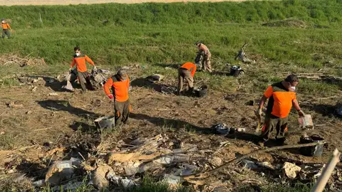 Un 'gemelo digital' monitorizará en tiempo real el estado de L’Albufera ante futuros episodios meteorológicos adversos Un 'gemelo digital' monitorizará en tiempo real el estado de L’Albufera ante futuros episodios meteorológicos adversos