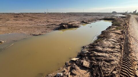 El agua estancada comienza a te&ntilde;irse de amarillo en algunos puntos del Parque Natural de l'Albufera