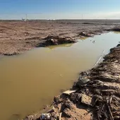 El agua estancada comienza a teñirse de amarillo en algunos puntos del Parque Natural de l'Albufera El agua estancada comienza a teñirse de amarillo en algunos puntos del Parque Natural de l'Albufera