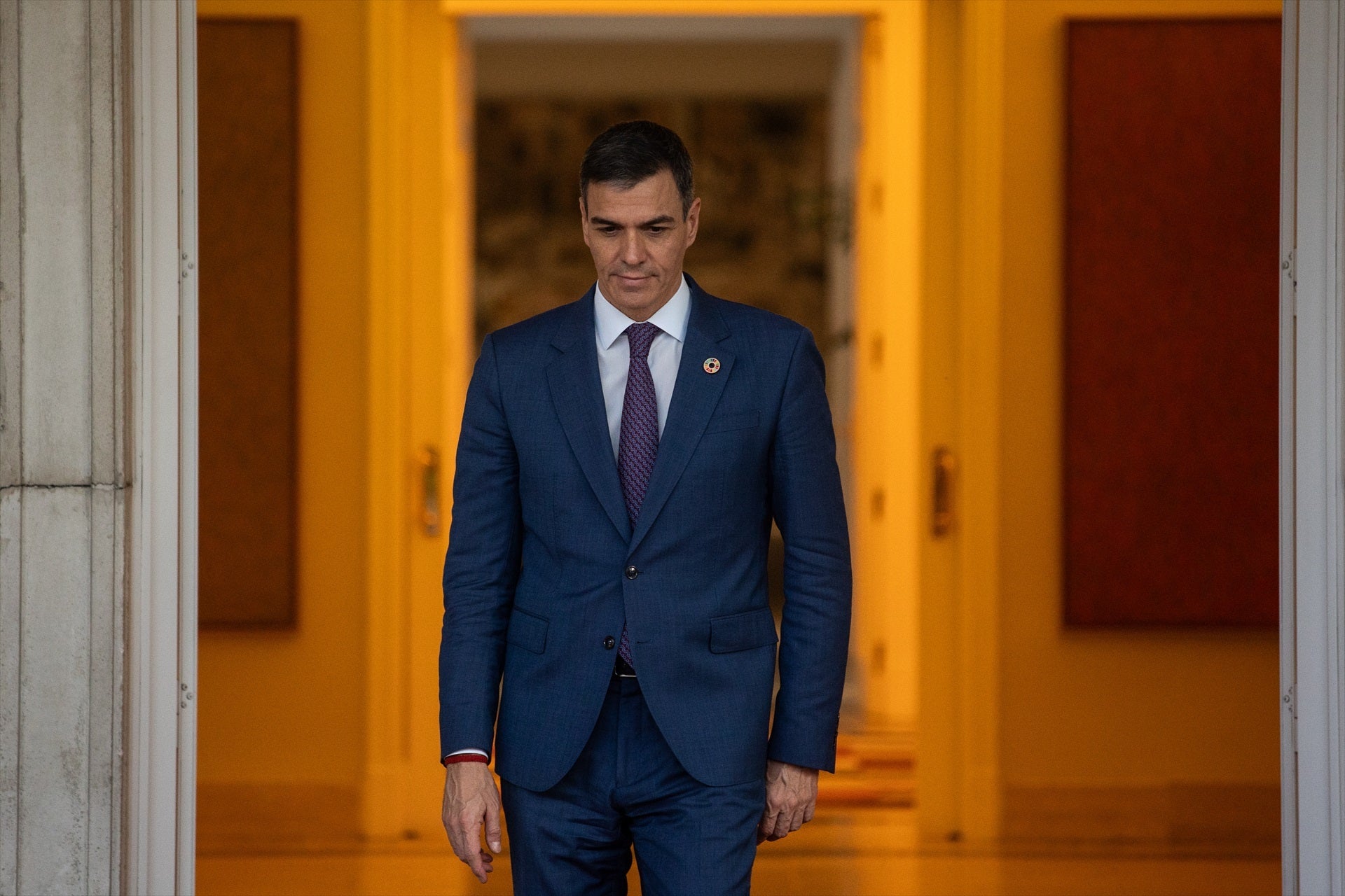 Los elefantes en la habitación que Sánchez no podrá esquivar en el Congreso Federal del PSOE: de Aldama a Lobato Los elefantes en la habitación que Sánchez no podrá esquivar en el Congreso Federal del PSOE: de Aldama a Lobato