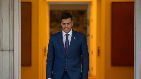 Los elefantes en la habitación que Sánchez no podrá esquivar en el Congreso Federal del PSOE: de Aldama a Lobato Los elefantes en la habitación que Sánchez no podrá esquivar en el Congreso Federal del PSOE: de Aldama a Lobato