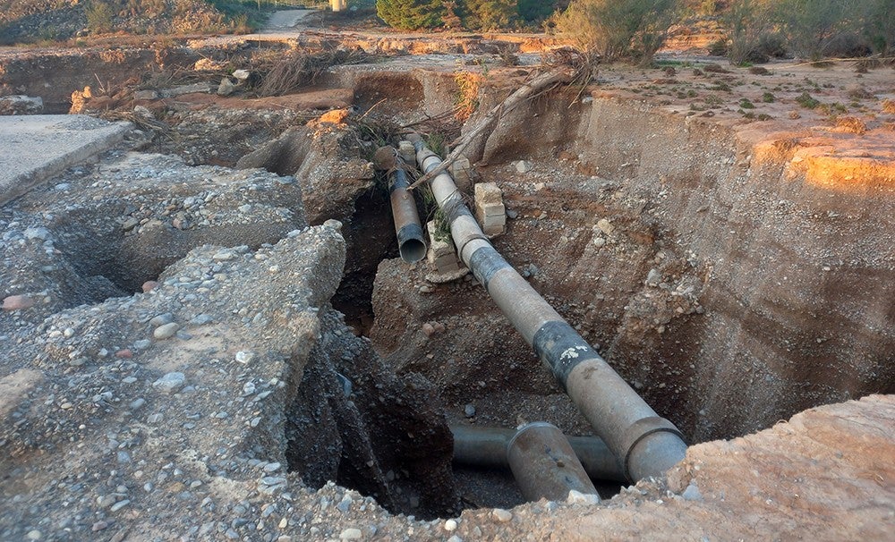 AVA eleva a 1.379 millones las pérdidas agrícolas de la Comunitat Valenciana por la dana AVA eleva a 1.379 millones las pérdidas agrícolas de la Comunitat Valenciana por la dana