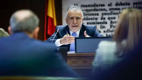 El Ministro de Política Territorial, Ángel Víctor Torres Pérez comparece ante la comisión del caso Koldo este jueves en el Senado./ EFE/ Zipi