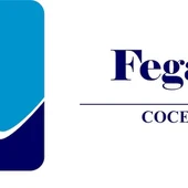 fegadi fegadi