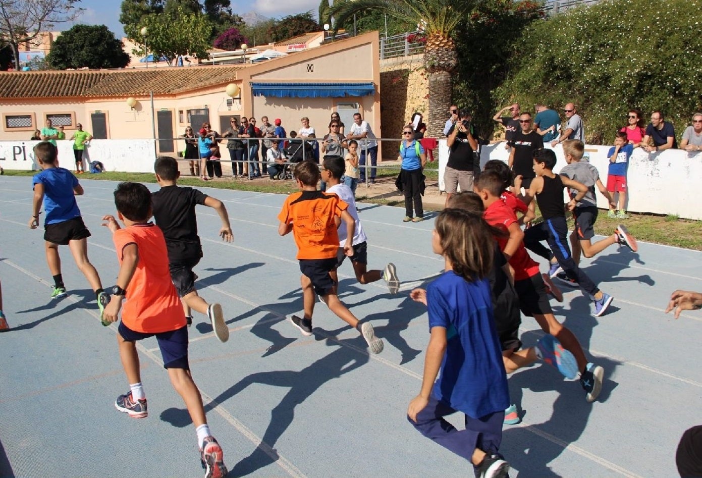 El pabellón Pau Gasol de l´Alfàs acoge la celebración del Cross escolar este domingo El pabellón Pau Gasol de l´Alfàs acoge la celebración del Cross escolar este domingo