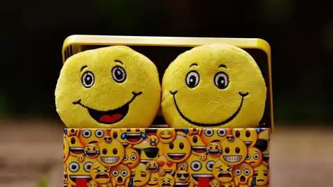 Personas físicas Personas físicas