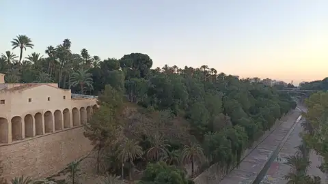 Elche. Elche.