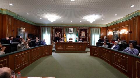 Pleno Ayuntamiento