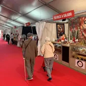 La Feria de Navidad y Comercio llena de actividades el centro urbano de Dolores este fin de semana La Feria de Navidad y Comercio llena de actividades el centro urbano de Dolores este fin de semana