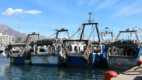 Los pescadores de Villajoyosa (Alicante), en pie de guerra ante los 27 únicos días que Europa les permitirá faenar en 2025