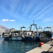 Los pescadores de Villajoyosa (Alicante), en pie de guerra ante los 27 únicos días que Europa les permitirá faenar en 2025 Los pescadores de Villajoyosa (Alicante), en pie de guerra ante los 27 únicos días que Europa les permitirá faenar en 2025