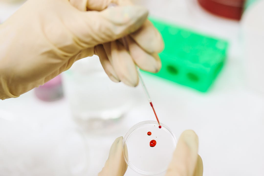 Territorio Negro: ADN para resolver crímenes. Ciencia, imaginación y artesanía Territorio Negro: ADN para resolver crímenes. Ciencia, imaginación y artesanía