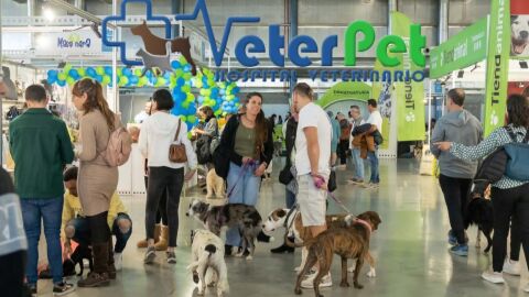 Fira Alacant acoge este fin de semana 'Expomascotas' con expositores, actividades y el sal&oacute;n de adopci&oacute;n