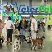 Fira Alacant acoge este fin de semana 'Expomascotas' con expositores, actividades y el salón de adopción Fira Alacant acoge este fin de semana 'Expomascotas' con expositores, actividades y el salón de adopción
