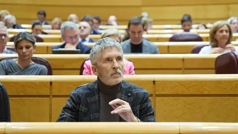 El ministro del Interior, Fernando Grande-Marlaska, en el Senado El ministro del Interior, Fernando Grande-Marlaska, en el Senado