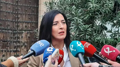 Esther Gutiérrez atiende a los medios tras presentar su precandidatura a la Secretaría general del PSOE de Extremadura Esther Gutiérrez atiende a los medios tras presentar su precandidatura a la Secretaría general del PSOE de Extremadura