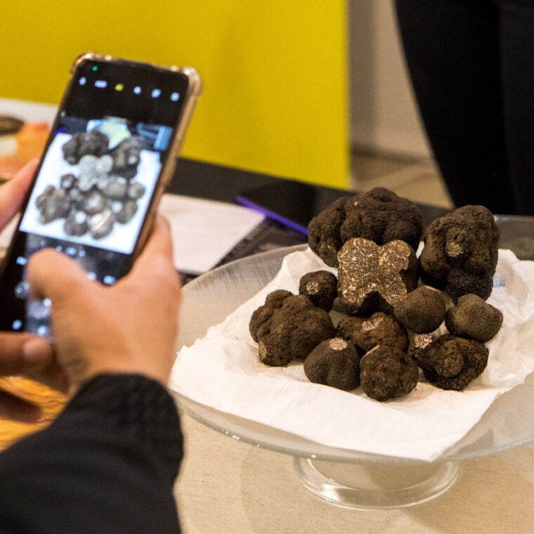 Sarrión acoge la XXIII edición de Fitruf, la feria monográfica de la trufa negra Sarrión acoge la XXIII edición de Fitruf, la feria monográfica de la trufa negra