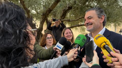 El alcalde de Alfaz dle Pi, Vicente Arques, compareciendo ante la prensa El alcalde de Alfaz dle Pi, Vicente Arques, compareciendo ante la prensa