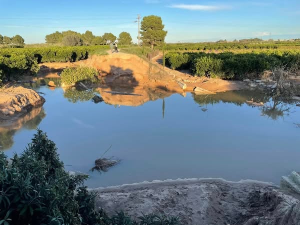 La Ribera Baixa reclama más celeridad en las obras contra inundaciones La Ribera Baixa reclama más celeridad en las obras contra inundaciones