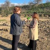 Mar Torre, concejala del Ayuntamiento de Málaga Mar Torre, concejala del Ayuntamiento de Málaga