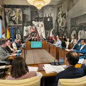 Pleno de la Diputación de Ciudad Real Pleno de la Diputación de Ciudad Real