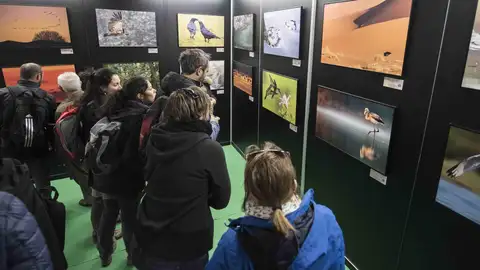 El concurso fotográfico de FIO bate su récord de participación con más de 8.000 imágenes de 31 países El concurso fotográfico de FIO bate su récord de participación con más de 8.000 imágenes de 31 países