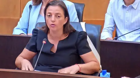 Cristina Escoda, portavoz del PSOE en Benidorm Cristina Escoda, portavoz del PSOE en Benidorm