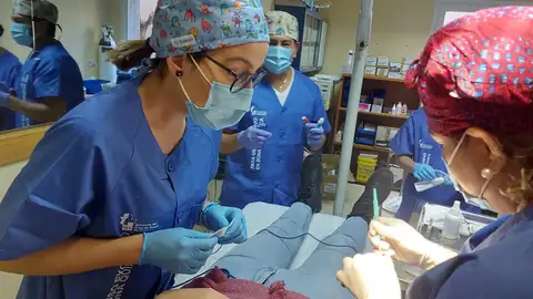 El Centro de Salud La Data Plasencia III implanta la Unidad de Cirugía Menor Ambulatoria El Centro de Salud La Data Plasencia III implanta la Unidad de Cirugía Menor Ambulatoria