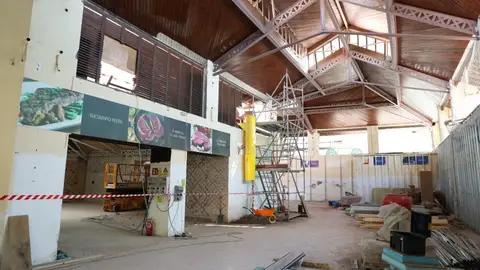 Manejan 12 ó 13 de diciembre abrir el Mercado de Abastos Manejan 12 ó 13 de diciembre abrir el Mercado de Abastos