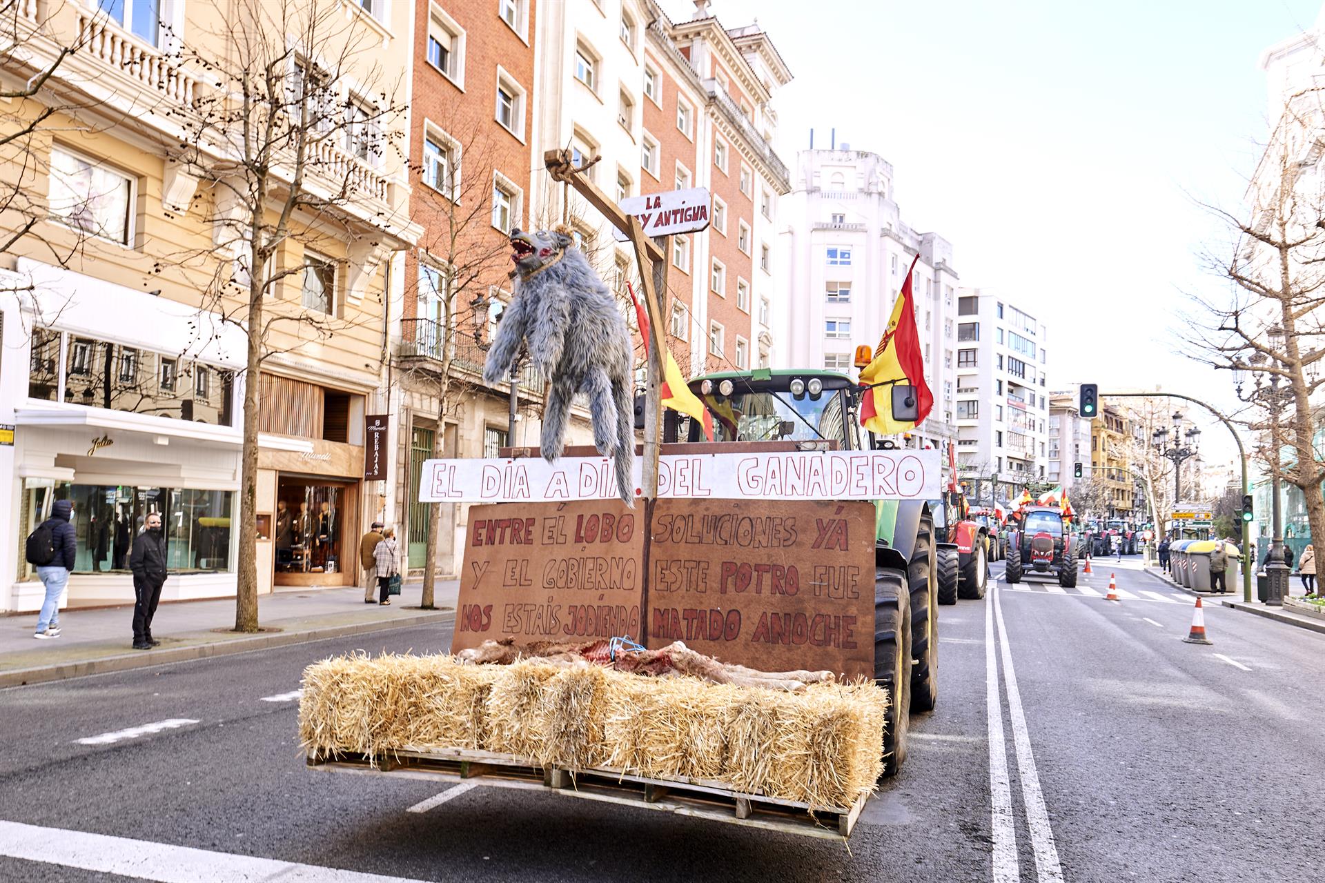 Cantabria celebra la rebaja de la protección del lobo en Europa Cantabria celebra la rebaja de la protección del lobo en Europa