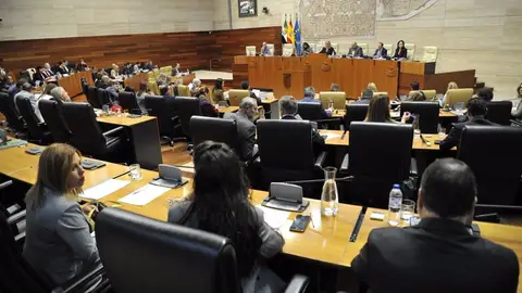 La Asamblea debate la propuesta de ley de Vox para anticipar a 55 años la segunda actividad en la policía local La Asamblea debate la propuesta de ley de Vox para anticipar a 55 años la segunda actividad en la policía local