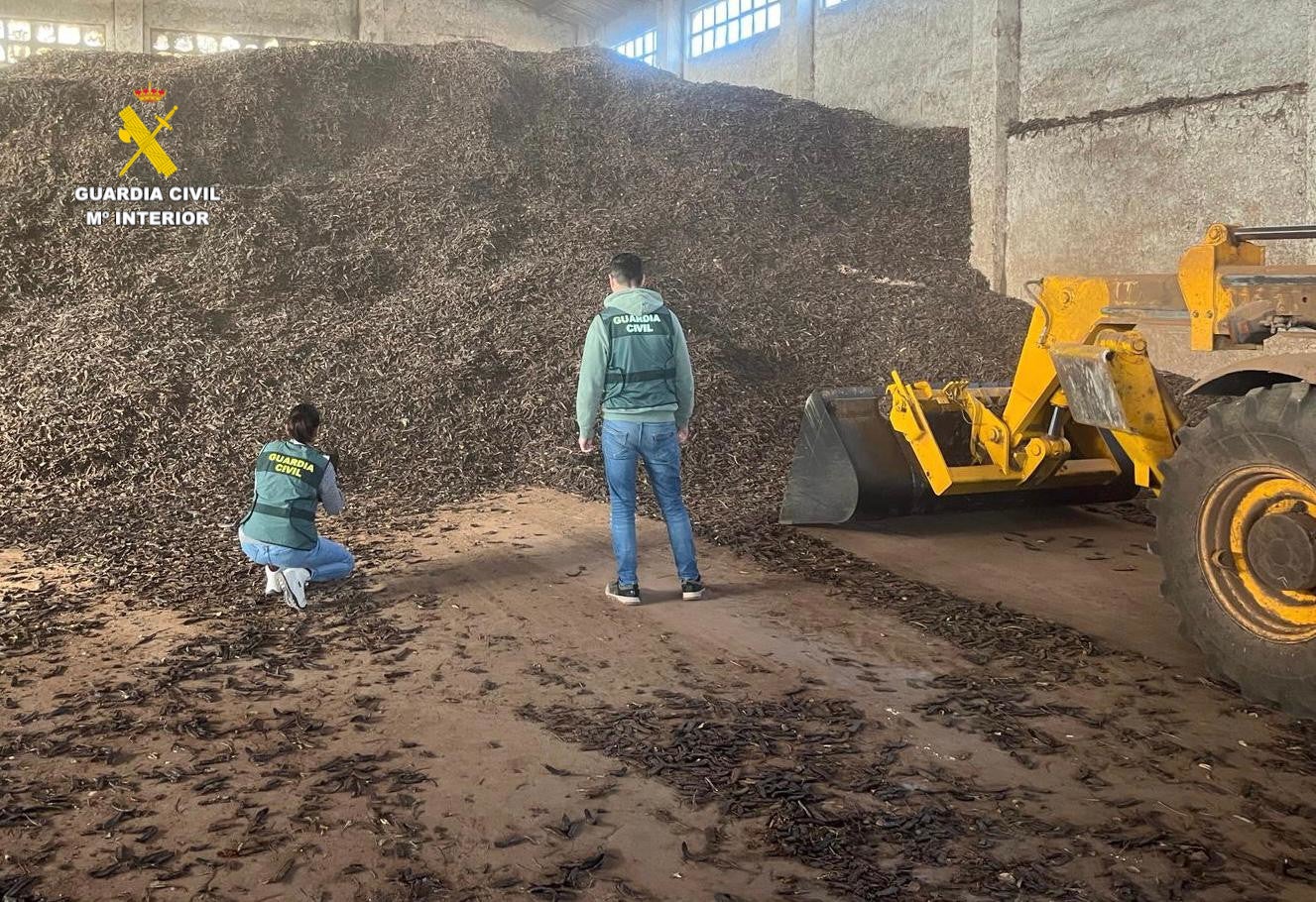 Desarticulado un grupo criminal que introducía algarroba ilegalmente en el mercado Desarticulado un grupo criminal que introducía algarroba ilegalmente en el mercado