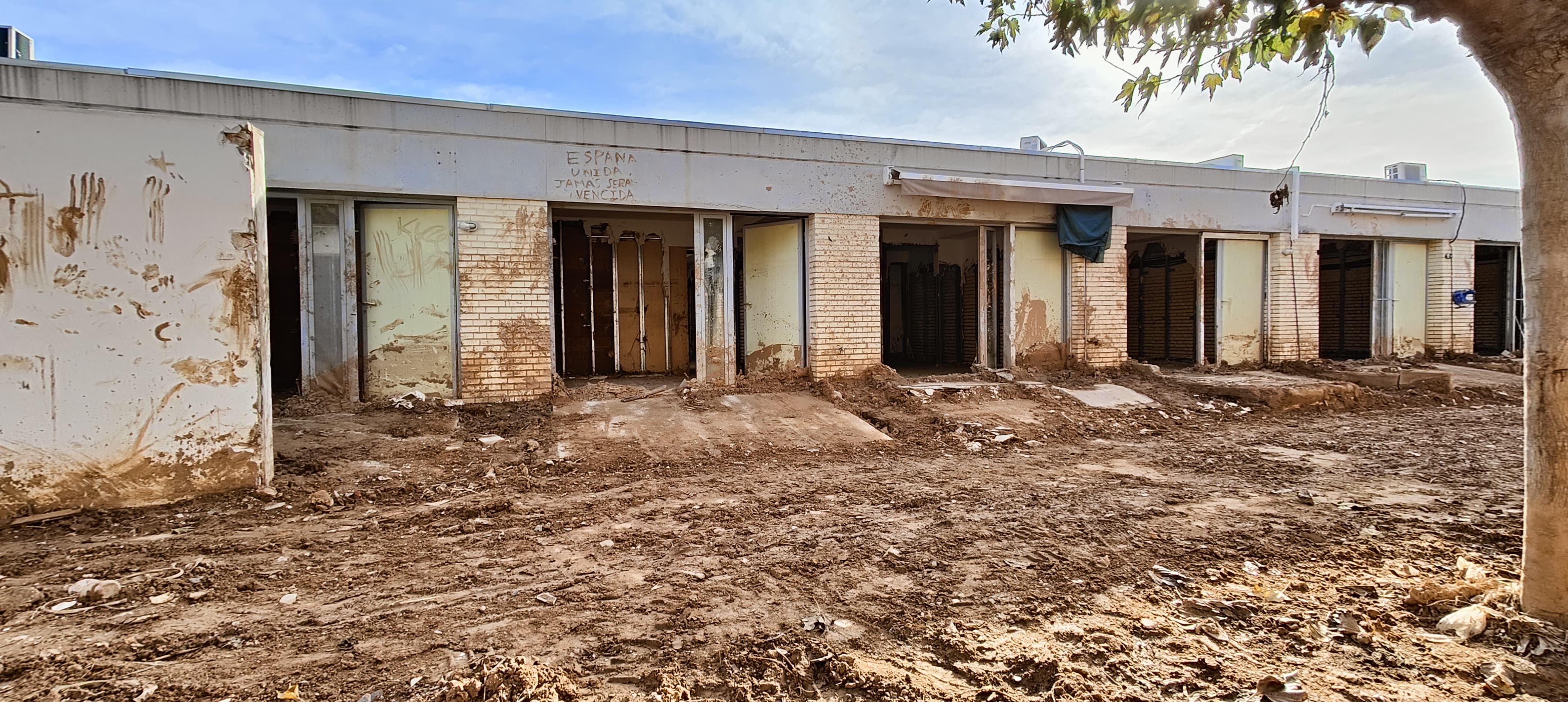 Amparo, vecina de Picanya: "Mi hija me decía por teléfono que me subiera a algún sitio, pero el agua me llegaba al cuello" Amparo, vecina de Picanya: "Mi hija me decía por teléfono que me subiera a algún sitio, pero el agua me llegaba al cuello"