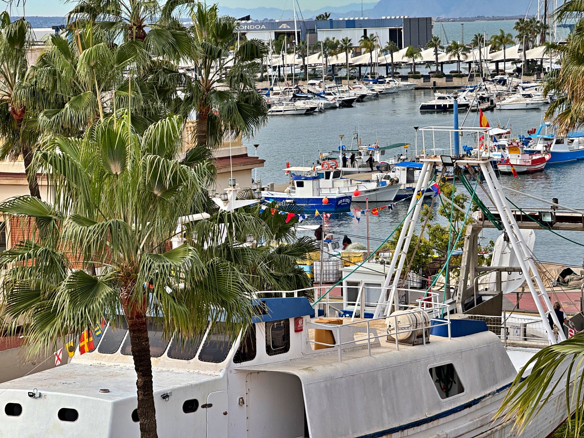 El Grupo de Acción Local de Pesca de Santa Pola gestionará en 2025 más de un millón de euros para ayudas El Grupo de Acción Local de Pesca de Santa Pola gestionará en 2025 más de un millón de euros para ayudas