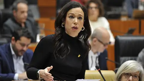 La consejera de Salud y Políticas Sociales, Sara García Espada, en el pleno de la Asamblea La consejera de Salud y Políticas Sociales, Sara García Espada, en el pleno de la Asamblea