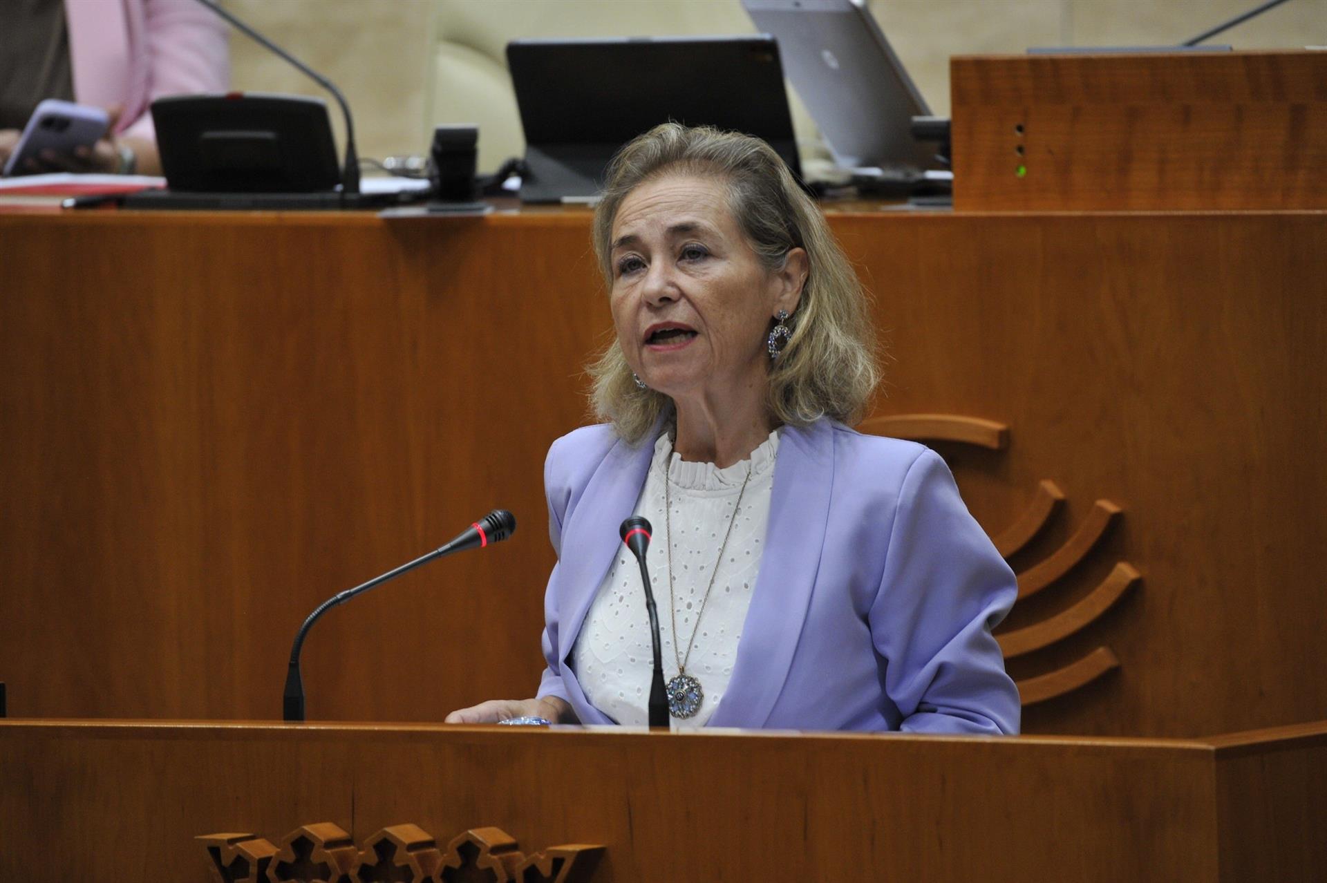 Vaquera insiste en que no se despedirá a 227 TEI y Unidas considera que la Junta trata "muy mal" a la educación pública Vaquera insiste en que no se despedirá a 227 TEI y Unidas considera que la Junta trata "muy mal" a la educación pública