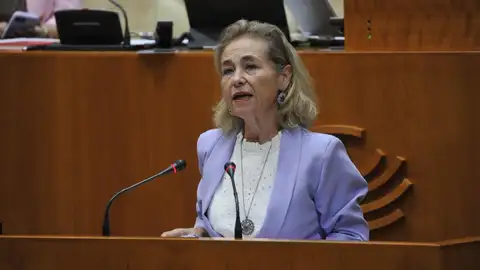 Vaquera insiste en que no se despedirá a 227 TEI y Unidas considera que la Junta trata "muy mal" a la educación pública Vaquera insiste en que no se despedirá a 227 TEI y Unidas considera que la Junta trata "muy mal" a la educación pública