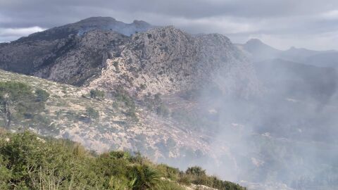 Estabilizado el incendio de Andratx, tras quemar unas 60 hect&aacute;reas