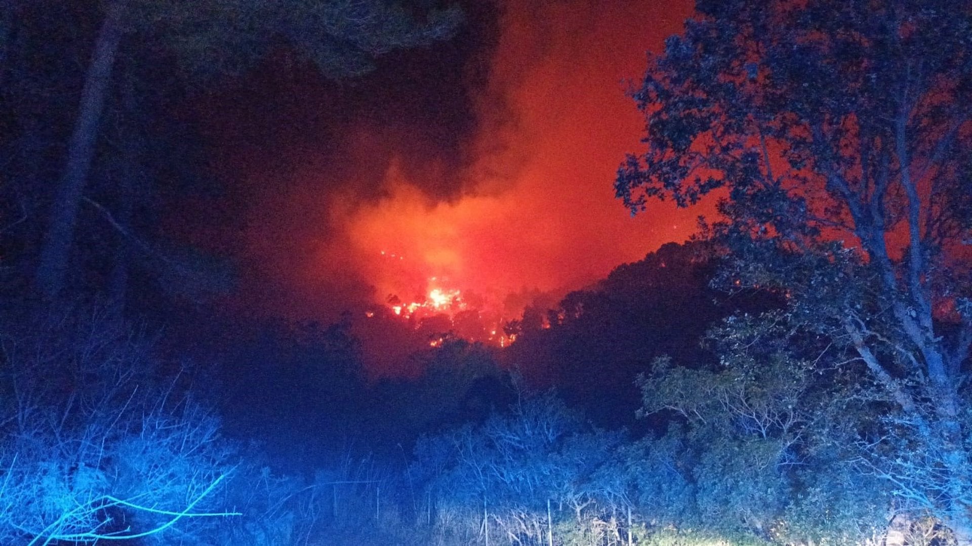 El incendio forestal de Andratx ya ha arrasado unas 70 hectáreas El incendio forestal de Andratx ya ha arrasado unas 70 hectáreas