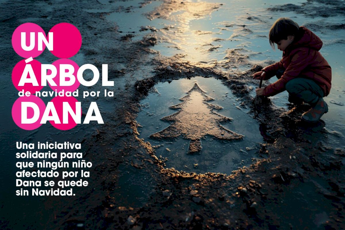 Donación de árboles de Navidad para llevar ilusión a las zonas afectadas por la DANA Donación de árboles de Navidad para llevar ilusión a las zonas afectadas por la DANA