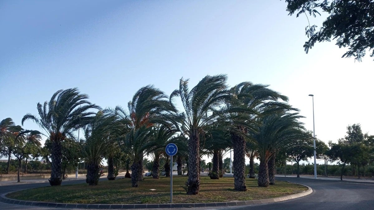 El viento moderado por la tarde activa este jueves el aviso amarillo en Elche, Crevillent y Santa Pola El viento moderado por la tarde activa este jueves el aviso amarillo en Elche, Crevillent y Santa Pola