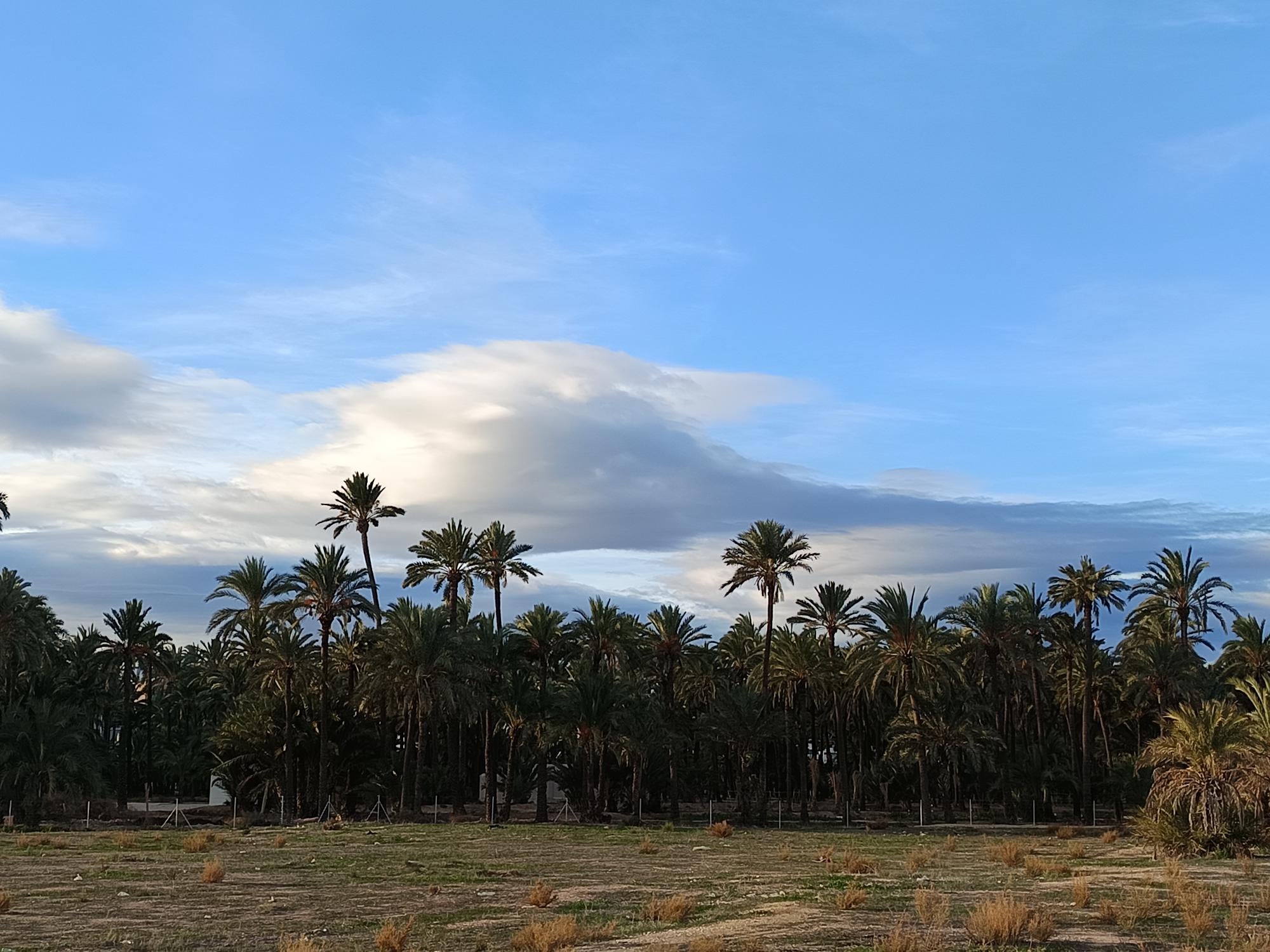Las temperaturas mantienen la tendencia al alza en Elche, Crevillent y Santa Pola Las temperaturas mantienen la tendencia al alza en Elche, Crevillent y Santa Pola