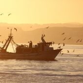 Pescadores de arrastre de Motril
