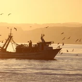 Pescadores de arrastre de Motril Pescadores de arrastre de Motril